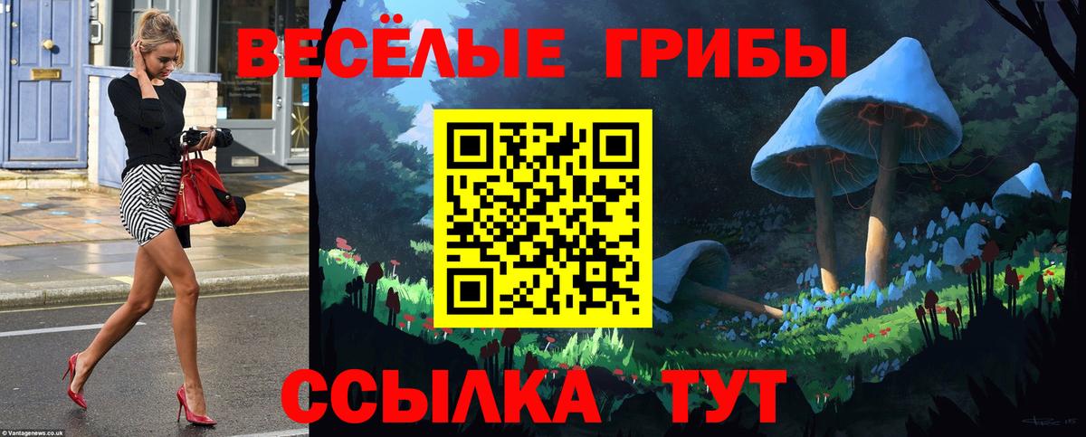 как найти закладки  Псилоцибиновые грибы Cubensis  Вход с VPN  Кушва  Псилоцибиновые грибы Psilocybe 