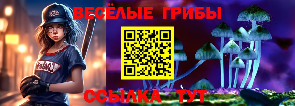 Псилоцибиновые грибы GOLDEN TEACHER Кушва