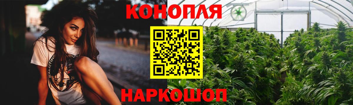 Канабис планчик Кушва